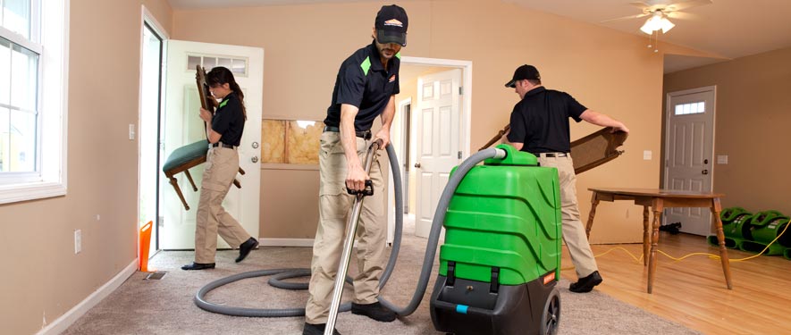 Dover, DE cleaning services